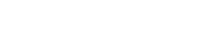 一条龙网站 - 纪录者平台标识